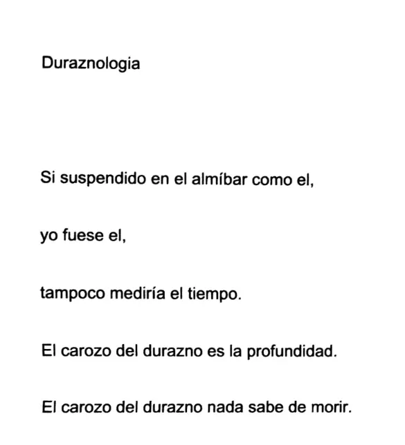 Nueva Obra