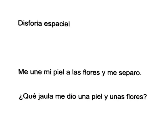 Nueva Obra