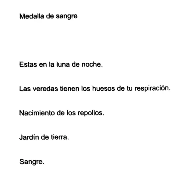 Nueva Obra