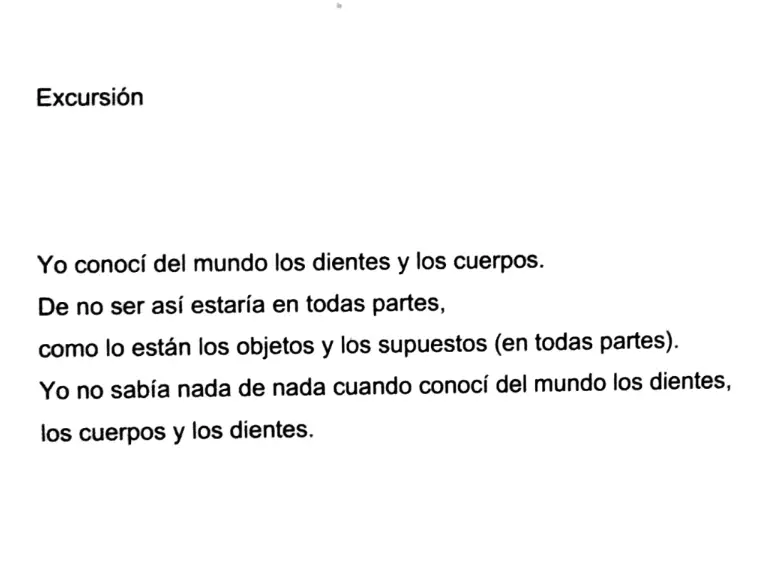 Nueva Obra